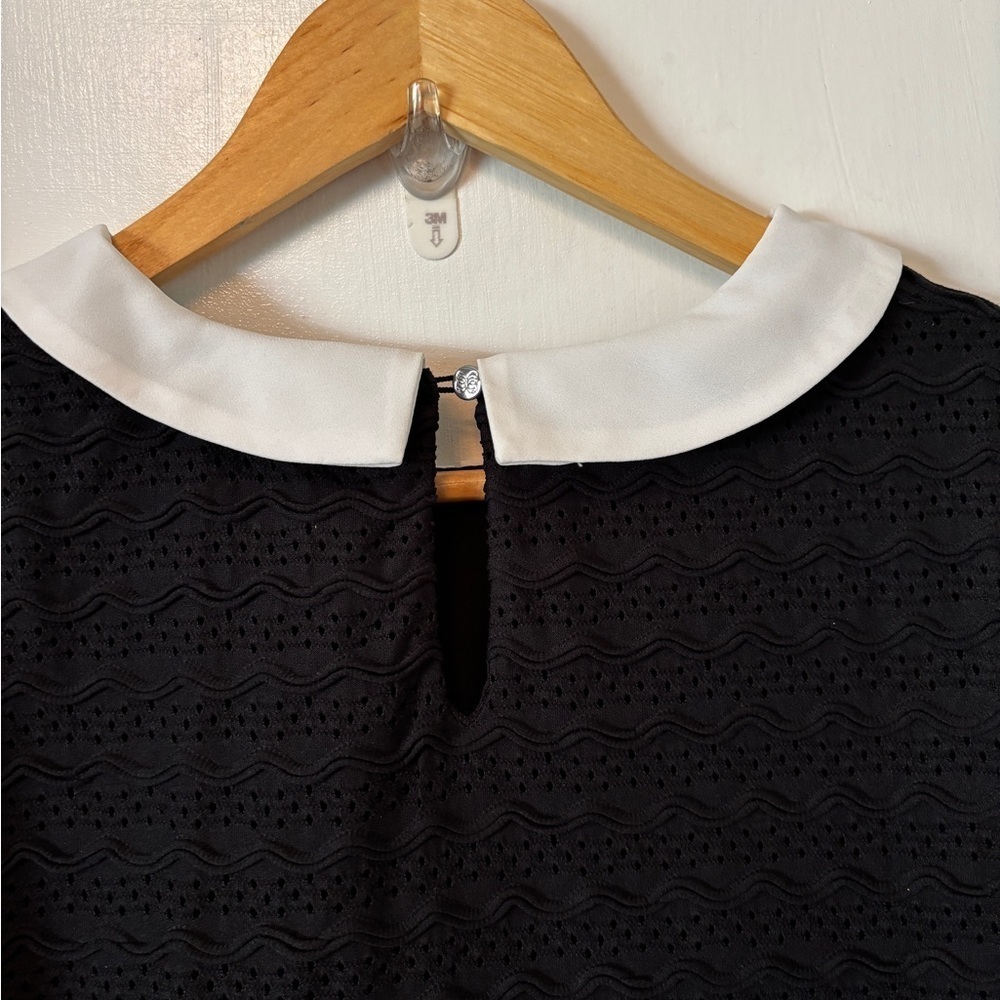 Sleeveless Black Mini Dress with White Peter Pan Collar - Picture 6 of 7